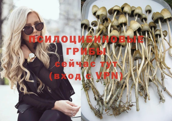 синтетический гашиш Алексин