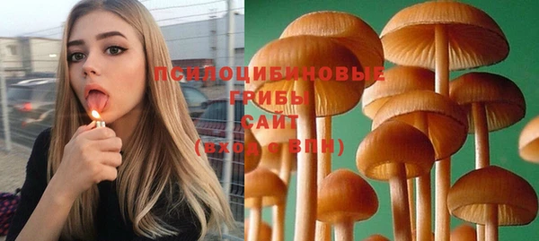 мескалин Алексеевка