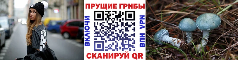 Псилоцибиновые грибы ЛСД  Муравленко 